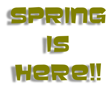 SPRING  IS  Here!!